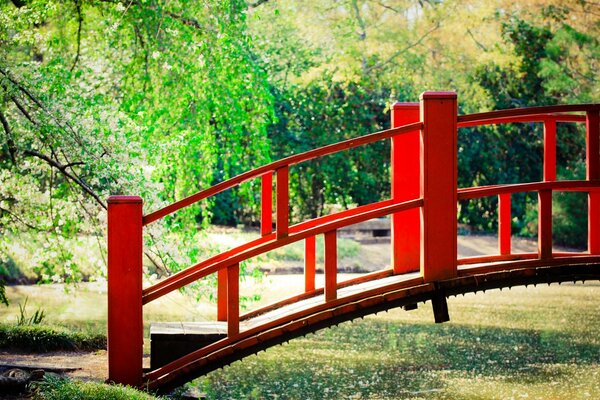 Puente de madera en un parque tranquilo