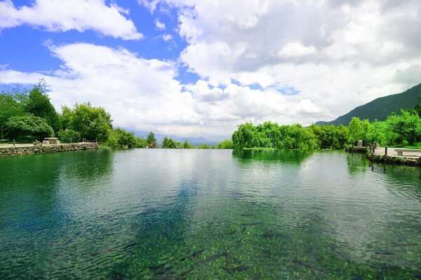 Ein sauberer See an einem Sommertag