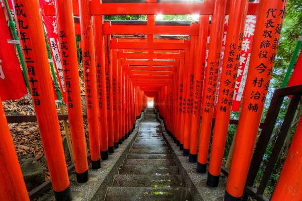 Steep stairs in the Shinto temple