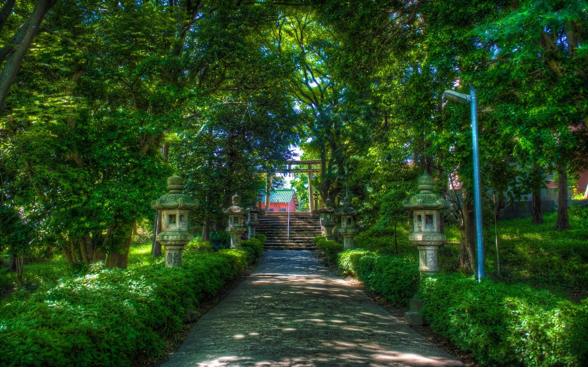 asia tree garden road guidance wood leaf nature outdoors park house landscape footpath summer walk grass flora architecture alley environment