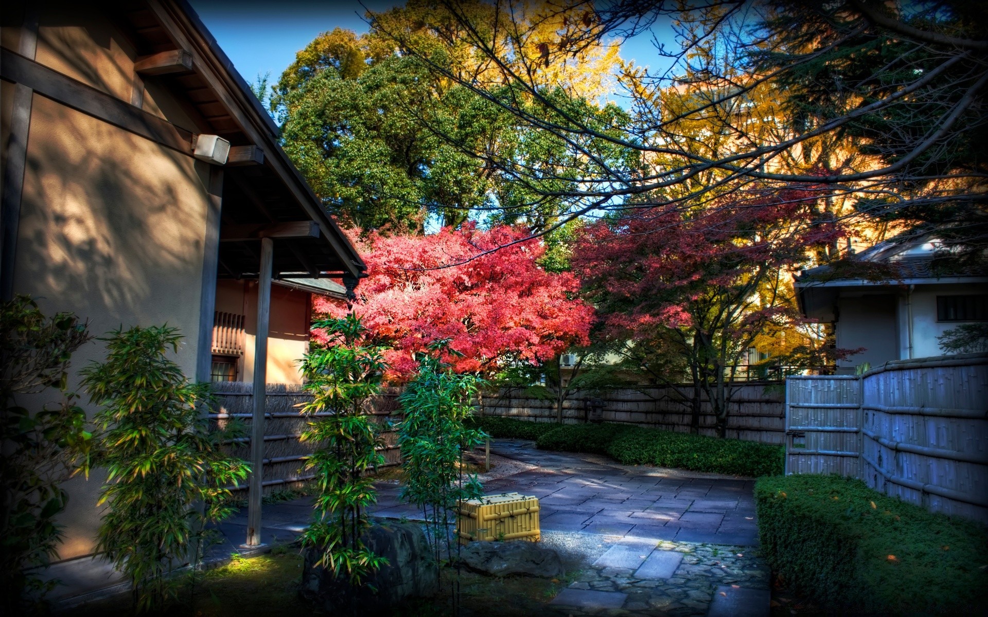 asien baum garten haus herbst blatt architektur im freien holz park haus natur zuhause landschaft saison blume farbe