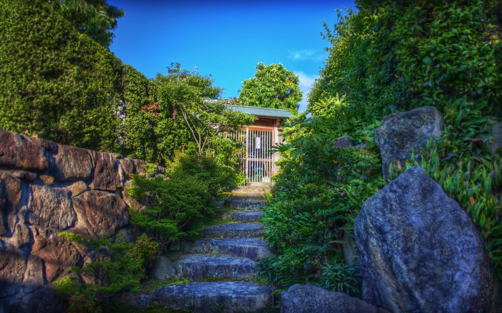 亚洲 自然 树 花园 公园 户外 旅游 景观 夏天 石 木 叶 水 草 植物 岩石 风景