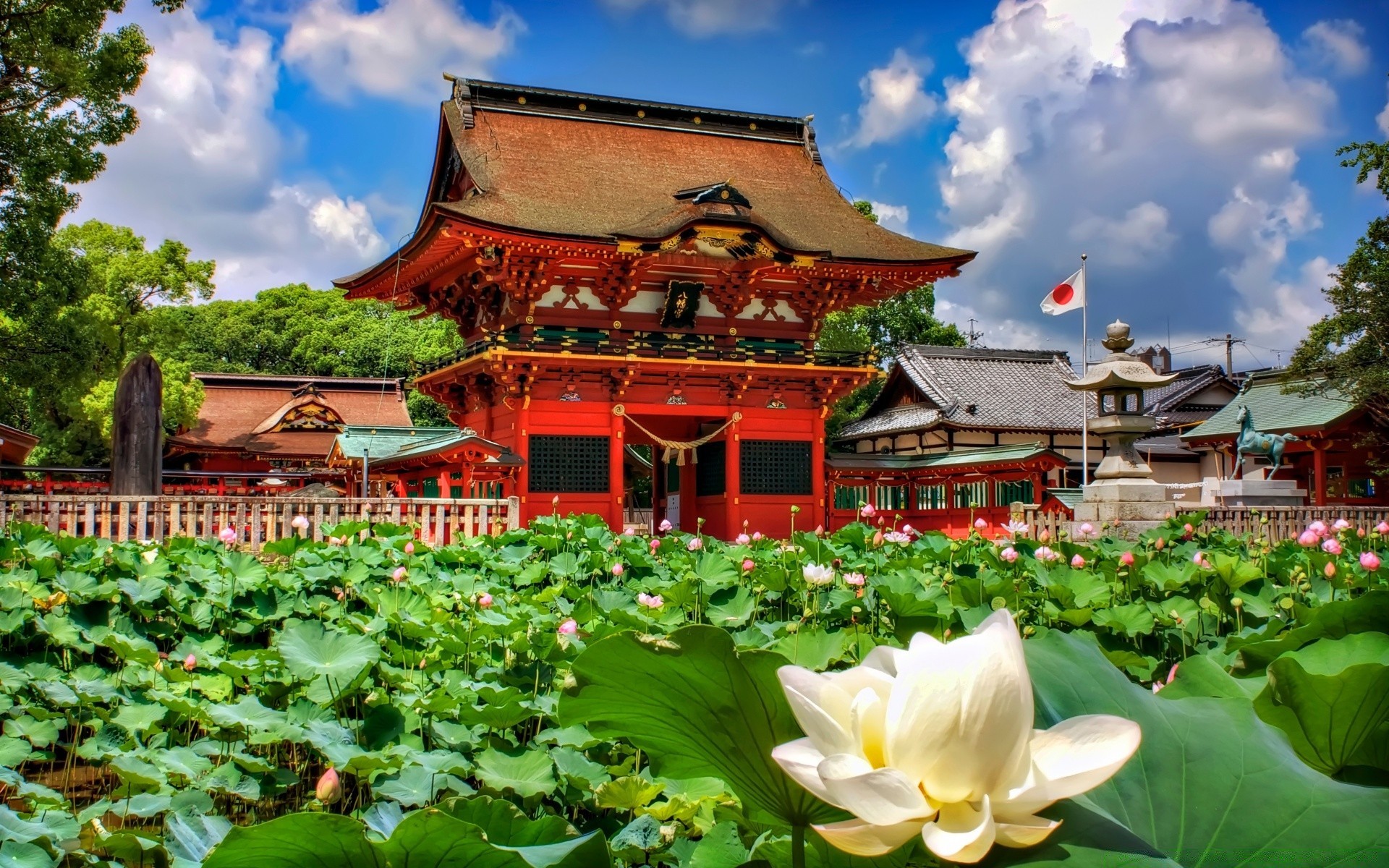 asie jardin piscine fleur voyage été zen parc flore saint nature tropical lotus paysage architecture feuille belle religion à l extérieur monde