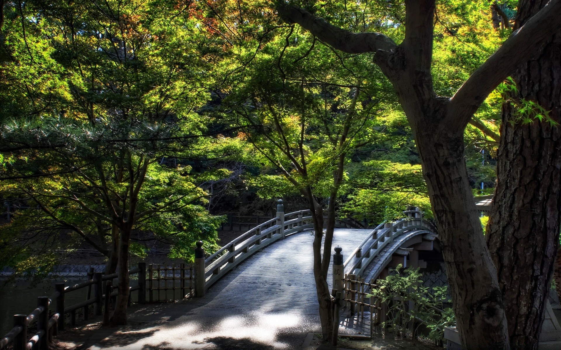 asia tree landscape wood nature park outdoors leaf road travel guidance environment