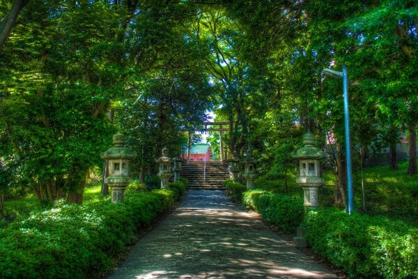 Camino a una linda casa en un callejón verde