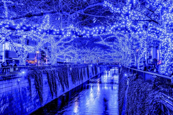 A river surrounded by silhouettes of glowing trees