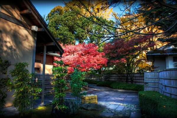 Asian houses in the autumn landscape