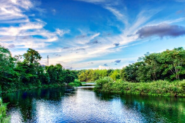 River through the forest Asia