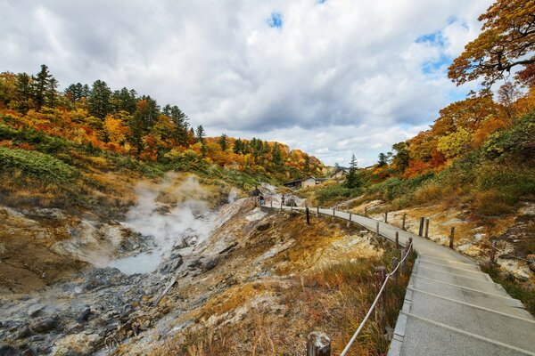 Autumn nature in Asia