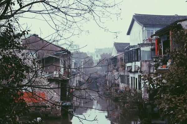 Froid matin brumeux asiatique