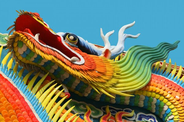 Chinese multicolored dragon looks up