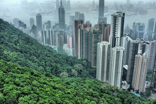 View of the skyscrapers of the Asian city