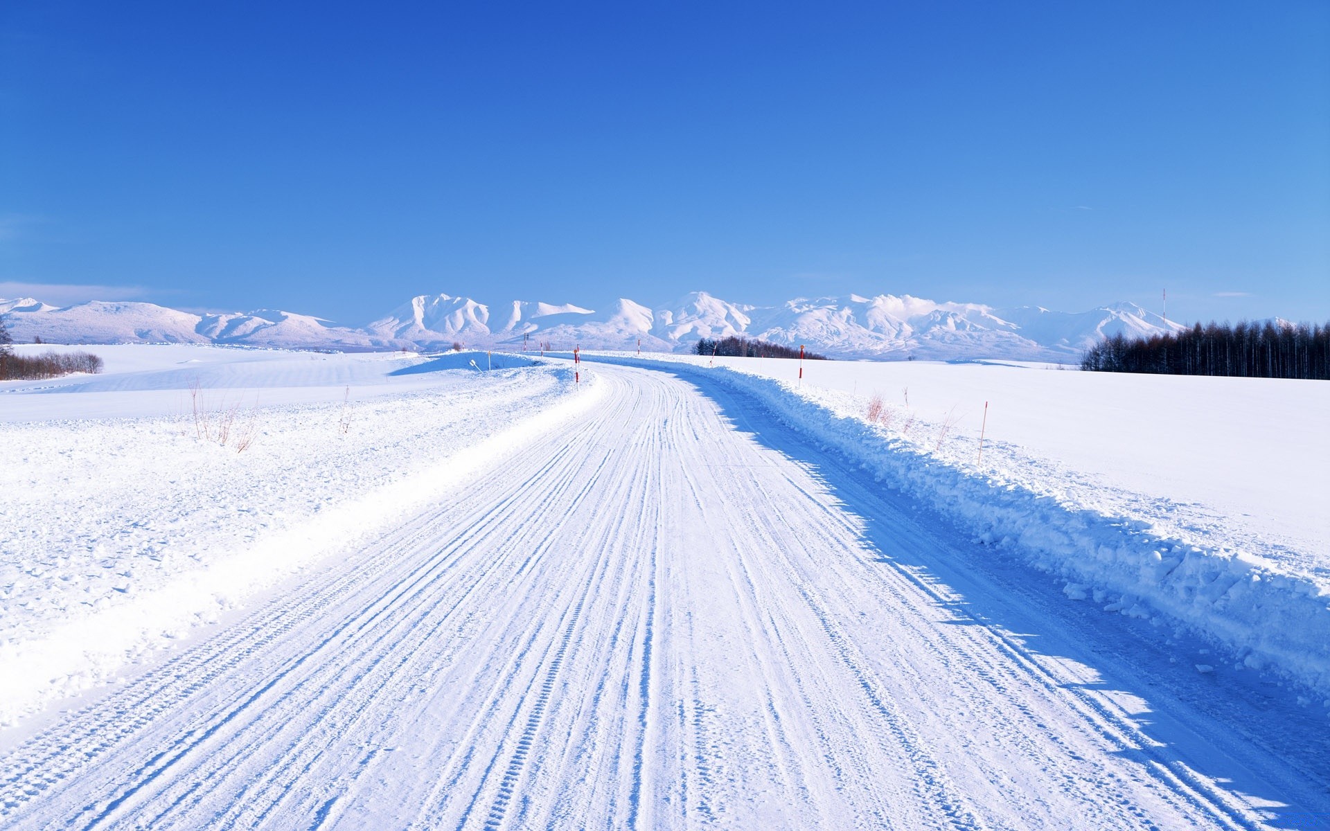 asya kar kış soğuk frost buz donmuş hava durumu ayaz ahşap güzel hava koşulları doğa açık havada manzara