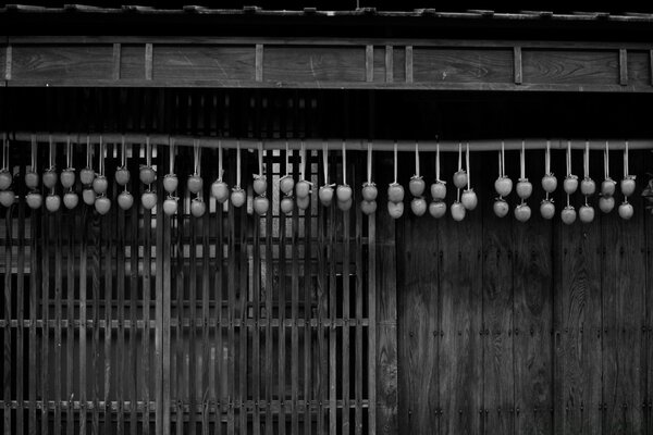 Dried persimmon on a beam in a gray background