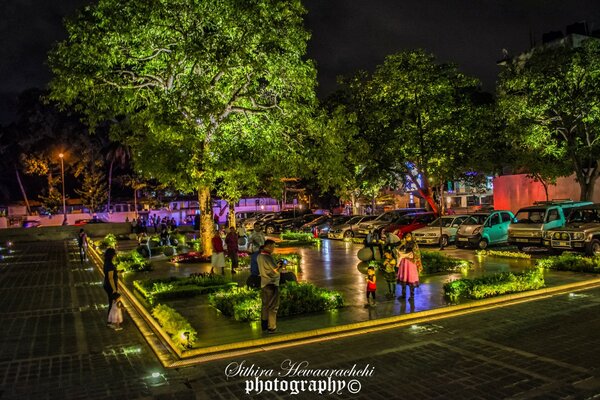 Famille dans un petit parc lumineux