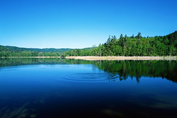 Lago, reflejo en el agua, naturaleza