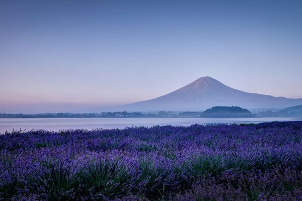 A mountain on a background of flowers and a lake