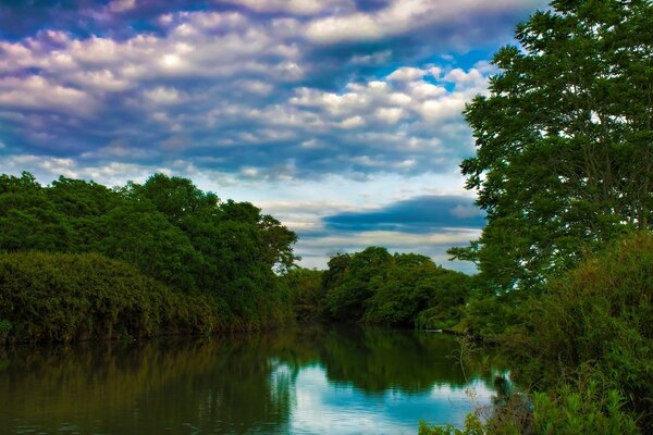 Nuvens de penas no reflexo do lago