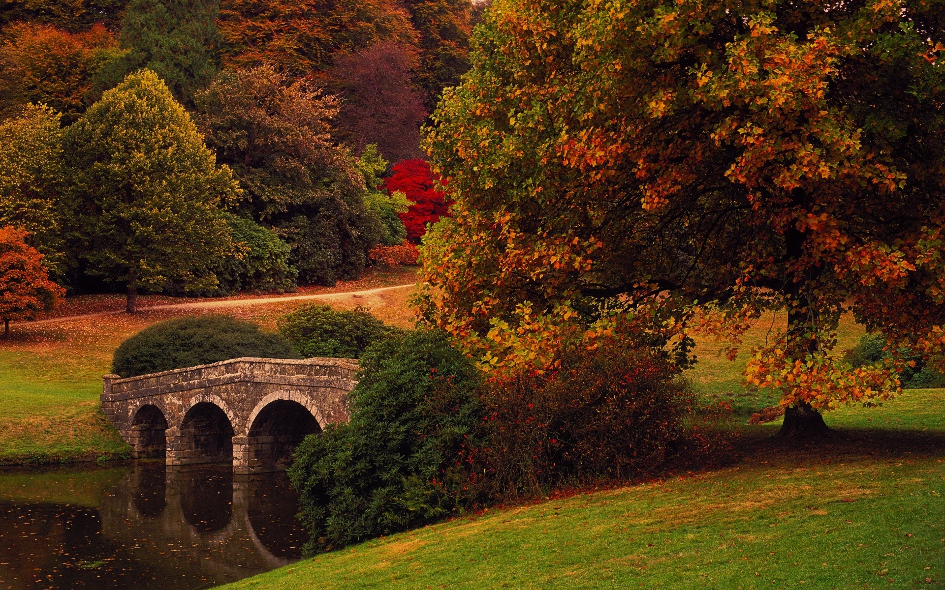 europe tree fall leaf outdoors landscape park travel scenic