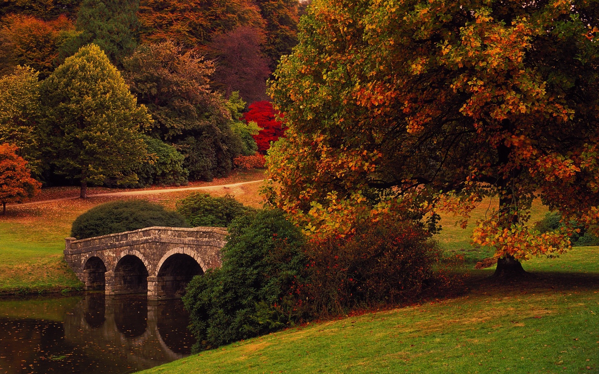 европа дерево осень лист на открытом воздухе пейзаж парк путешествия живописный