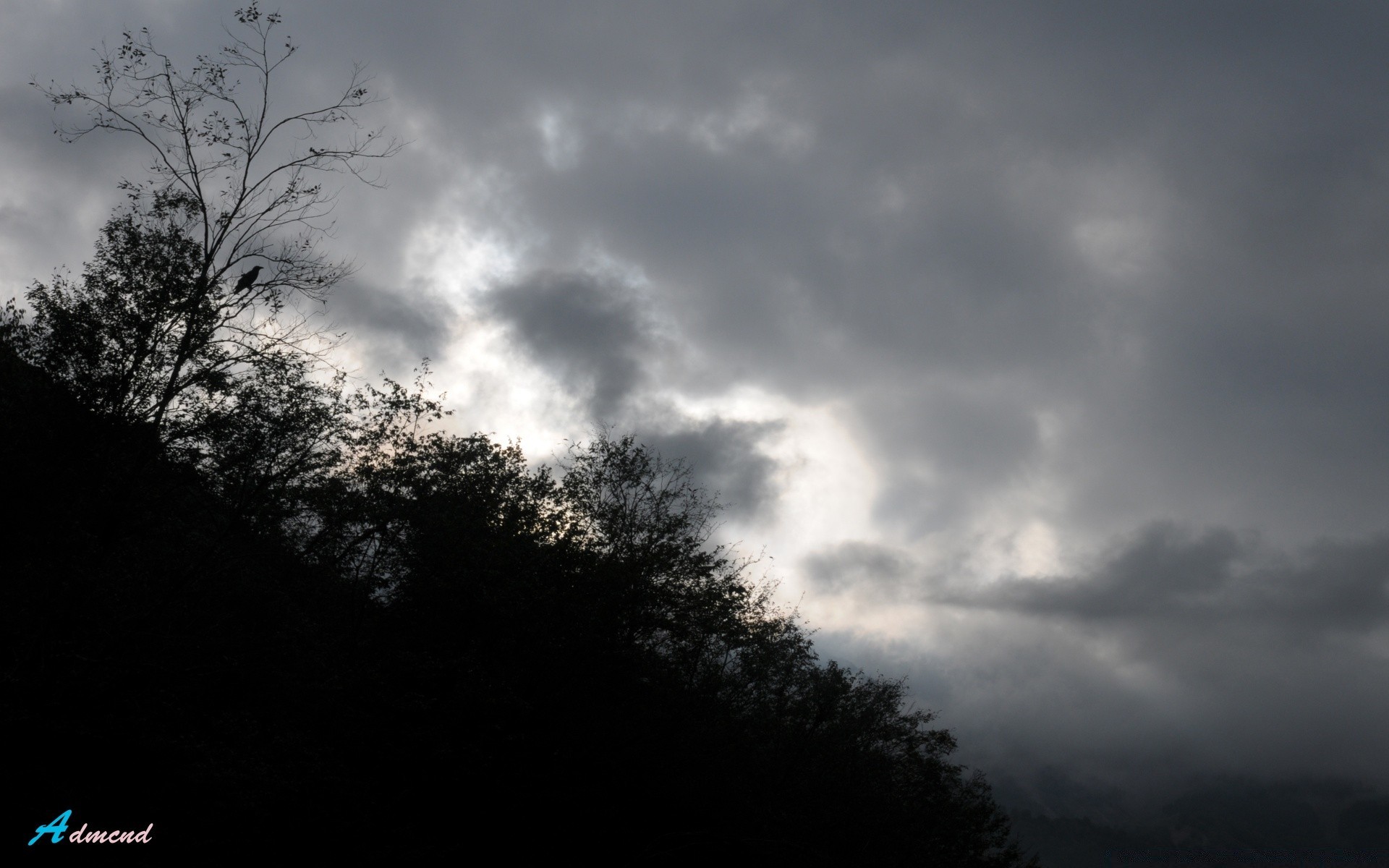 asie nature ciel brouillard paysage soleil coucher de soleil aube arbre sombre monochrome silhouette brouillard lune à l extérieur