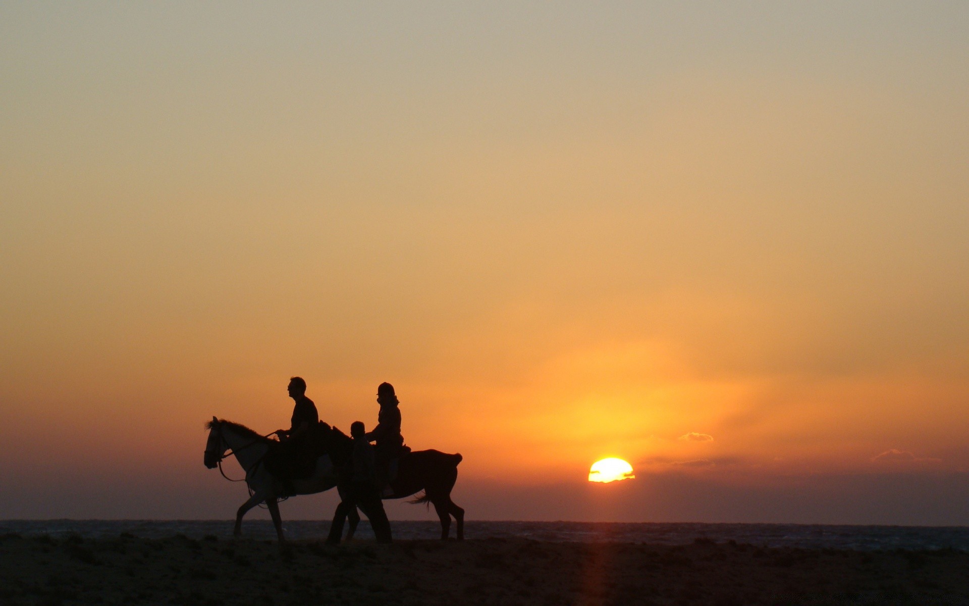 asien sonnenuntergang dämmerung hintergrundbeleuchtung sonne kavallerie abend sitzen silhouette dämmerung säugetier landschaft reisen himmel im freien nebel gutes wetter