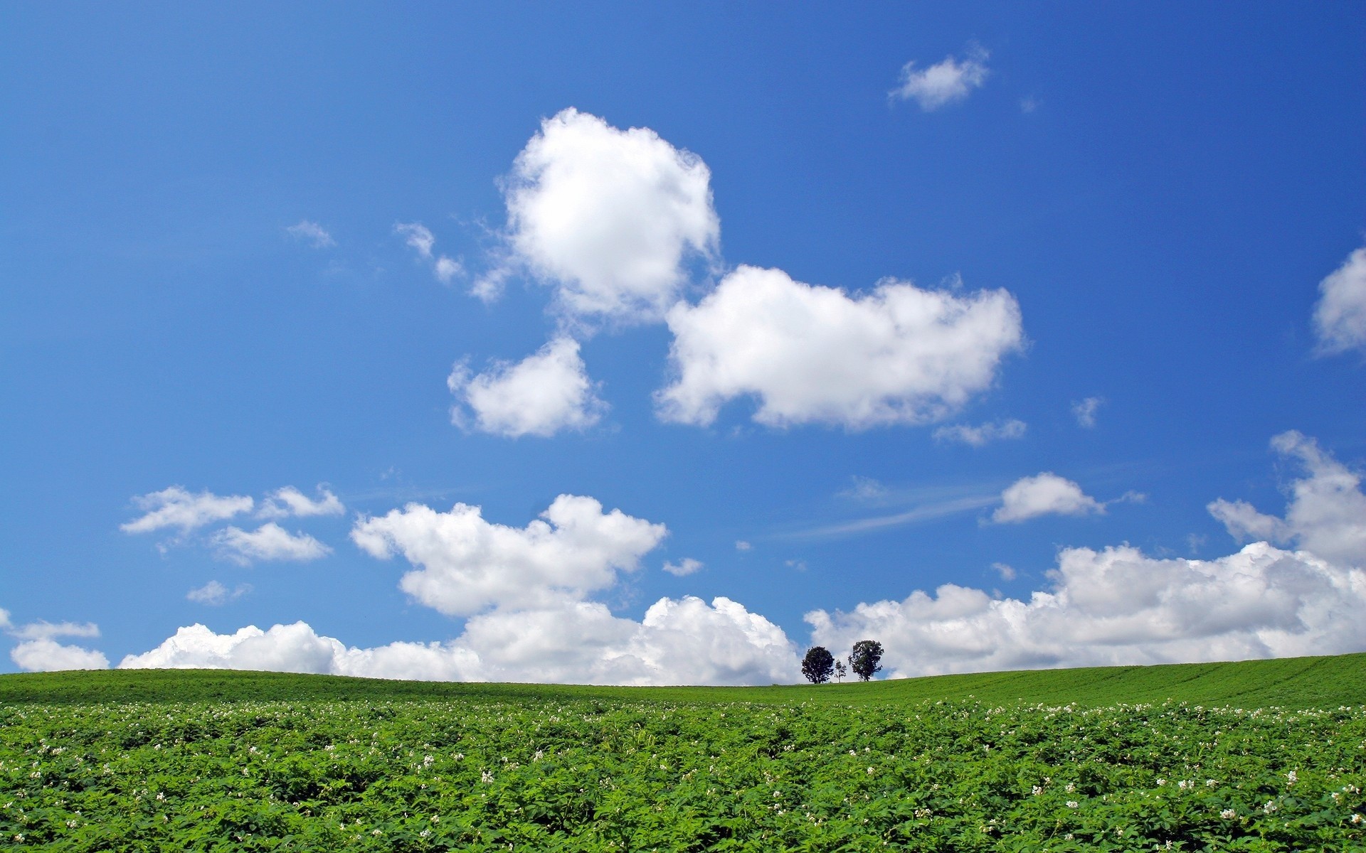 ásia paisagem natureza céu agricultura rural pasto ao ar livre campo fazenda verão campo grama terras agrícolas bom tempo terras cultivadas pastagens árvore solo nuvem