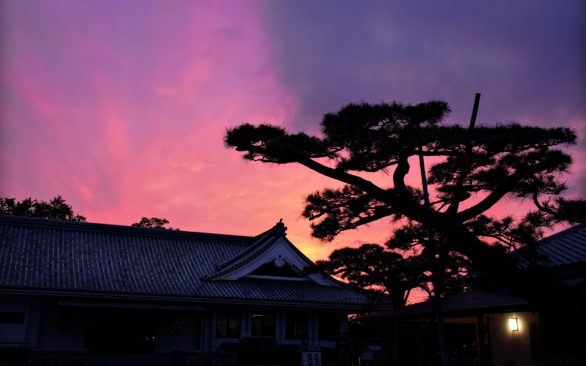 asia tramonto alba silhouette albero sera paesaggio luce illuminato casa cielo all aperto viaggi crepuscolo architettura sole