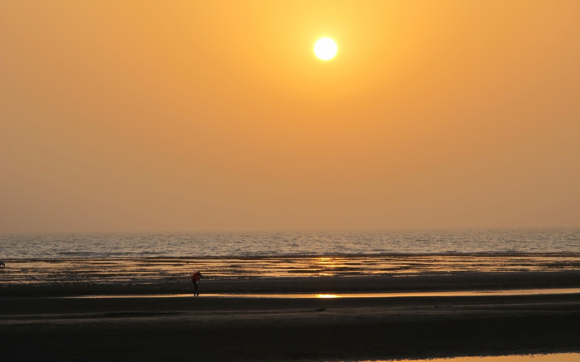 asia tramonto acqua alba mare spiaggia sole sera oceano crepuscolo paesaggio mare paesaggio luce cielo lago natura