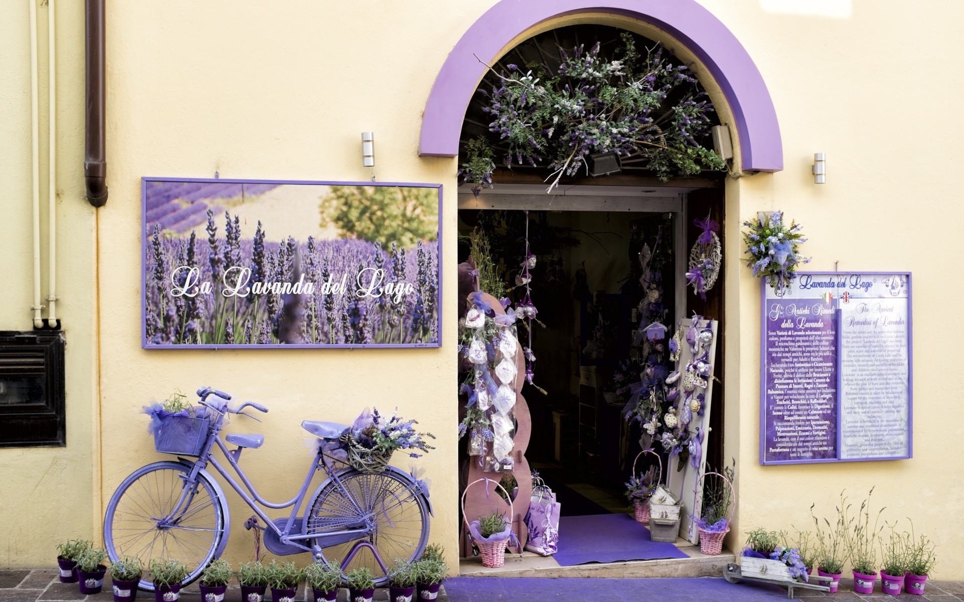 europa haus tür blume fenster architektur dekoration eingang familie wände