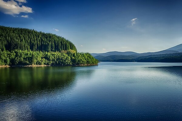 Hermoso lago natural y bosque cerca