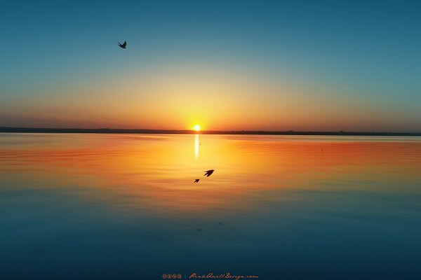 Mesmerizing sunrise on the shore