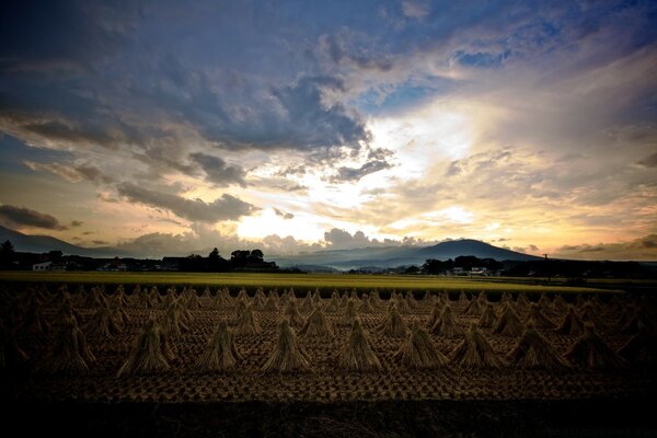 Beautiful sunset with clouds in nature