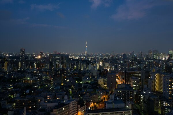 亚洲城市之夜游