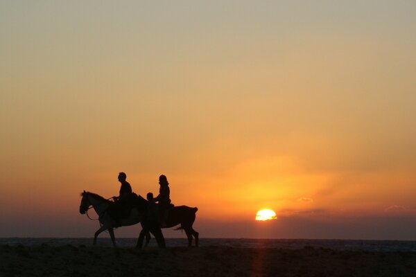 Reitspaziergang bei Sonnenuntergang