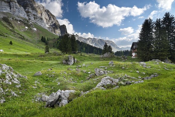 Schöne Landschaft der europäischen Wildnis