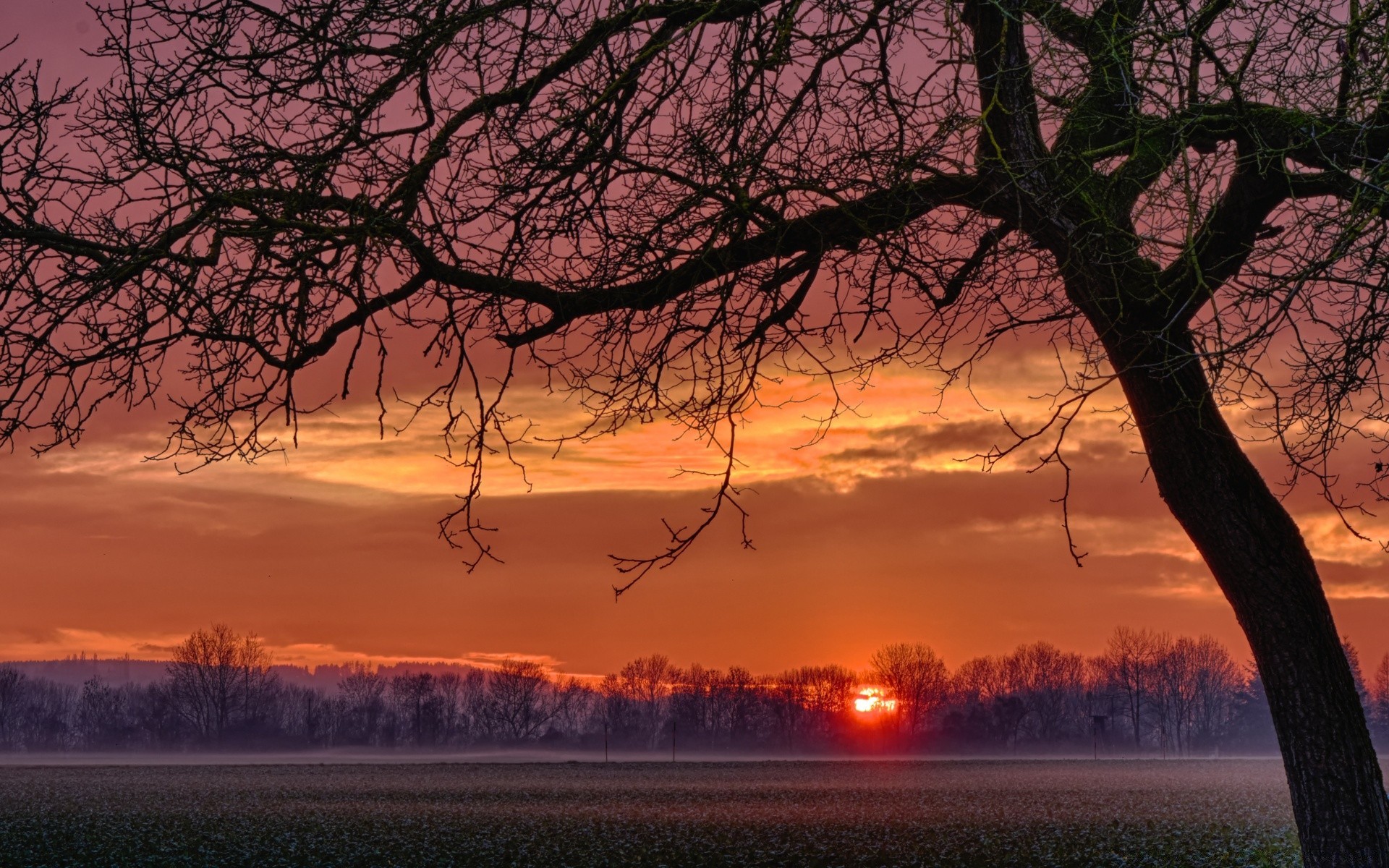 europa albero paesaggio alba tramonto sera natura crepuscolo cielo tempo scenico sole all aperto ramo stagione silhouette bel tempo