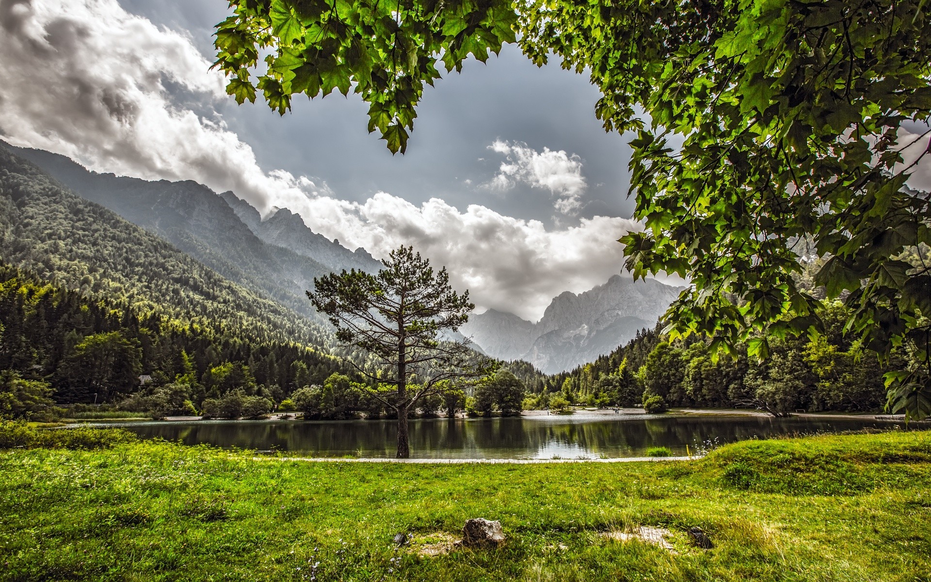 europe landscape nature wood tree mountain outdoors scenic travel summer grass sky water scenery lake sight park leaf rural