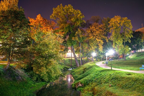 Der Herbst ist in Europa. Vergilbte Bäume