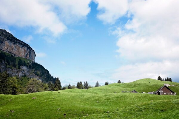 Paisaje verde de la naturaleza en Europa