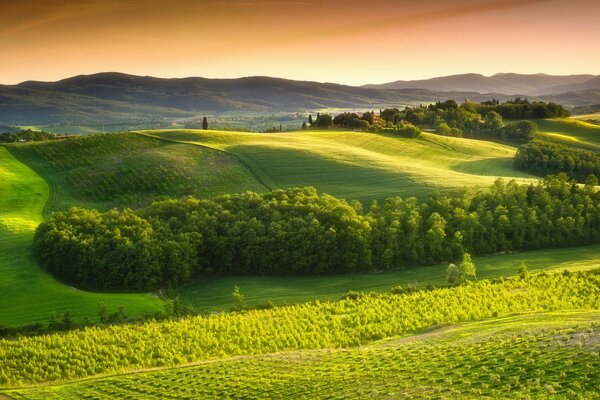 Campos de Europa rural