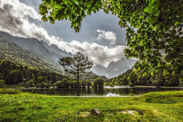 Parc avec vue sur les montagnes et le lac