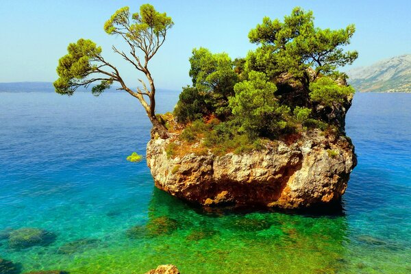 Île verte sur la mer de l Europe