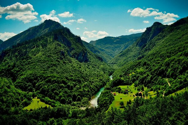 美妙的风景。 山与绿