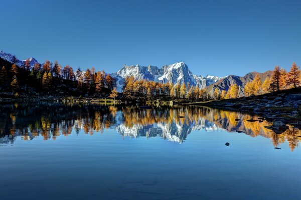 Wald um den See herum. Schöne Aussicht auf das Wasser