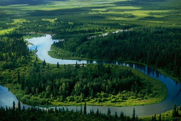 Bird s-eye view of the river