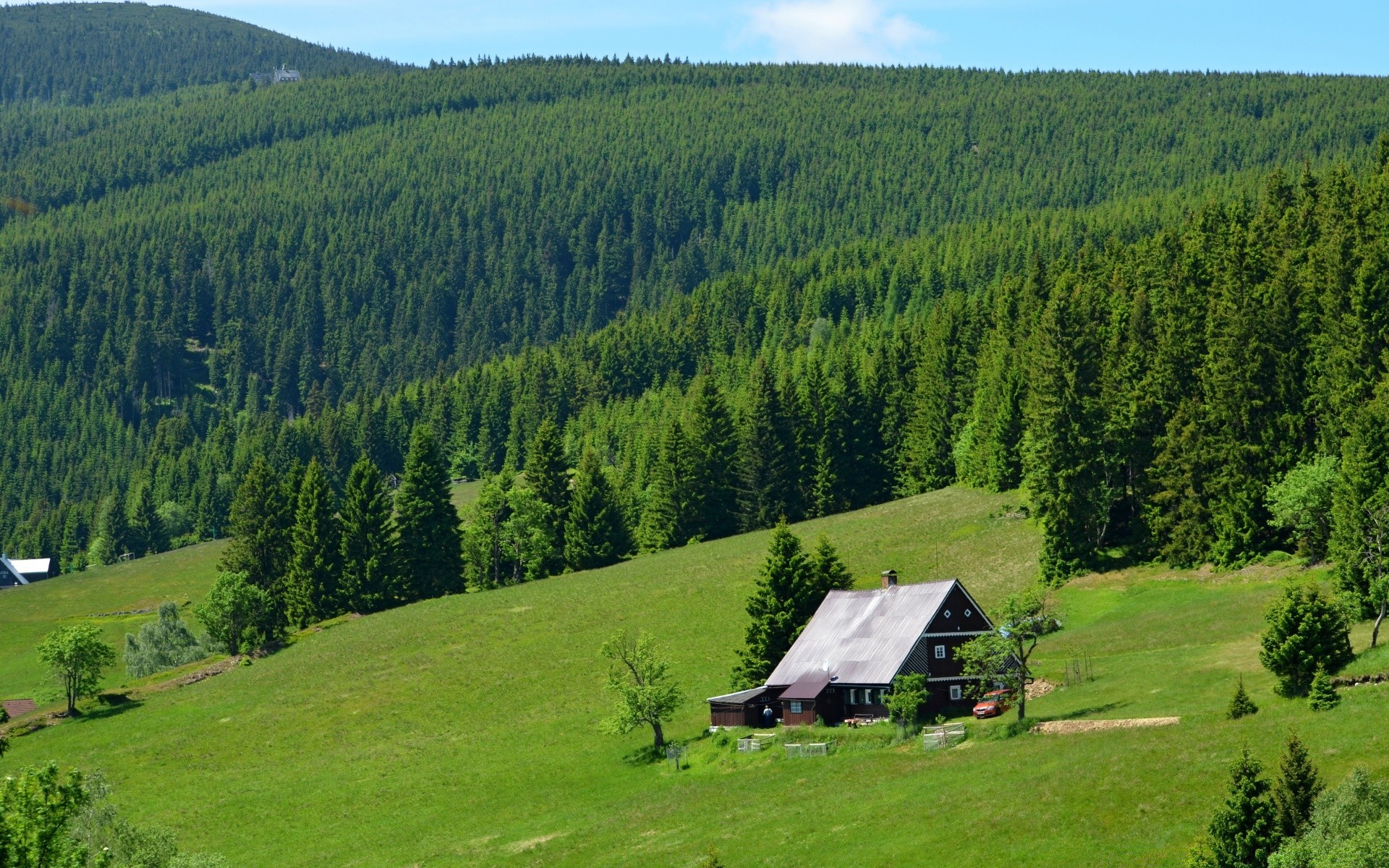 europa legno albero montagna paesaggio scenic valle fieno conifere natura all aperto collina erba evergreen estate luce del giorno cielo