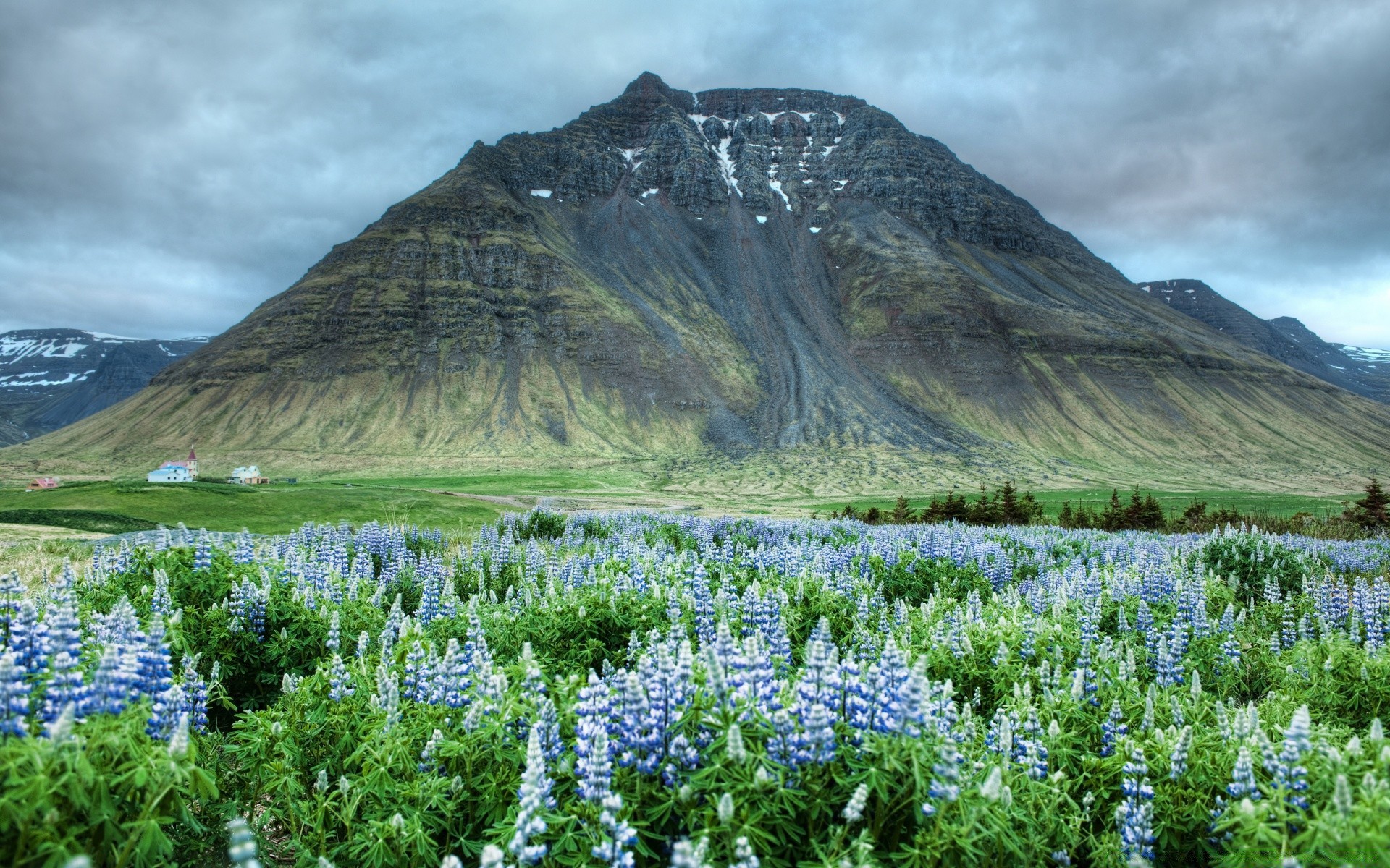 europa paisaje naturaleza montaña altramuces escénico viajes heno flor verano hierba paisaje flora salvaje rural hermoso cielo campo