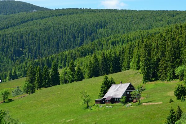 Деревянный домик в горах