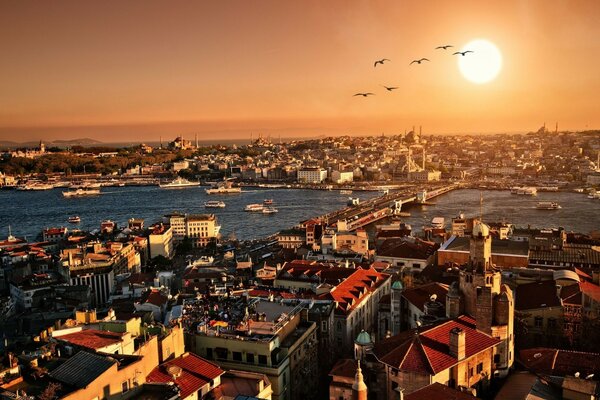 A European city with a port in the evening